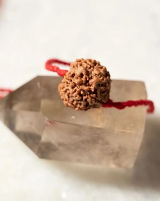 Beautum 6 Mukhi Rudraksha Six Face Rudraksha Nepali Rudraksha Code:3 Wood Pendant