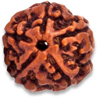 SHRI ASTHA VINAYAK 5 Mukhi/Face Nepali Rudraksha with Silk Dori Wood Pendant