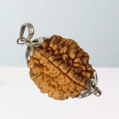 Fine Creation 2 Mukhi Certified Original Pure Siddha Rudraksha Form Nepal For Men & Women Silver Wood Pendant