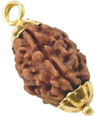 Fine Creation Natural certified 3 Mukhi Rudraksha with detailed & Puja wearing instructions Gold-plated Wood Pendant