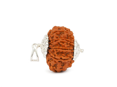 GEMSMANTRA 10 Mukhi Rudraksha Bead With Pendant Regular Size Original Nepali Lab Certified Wood