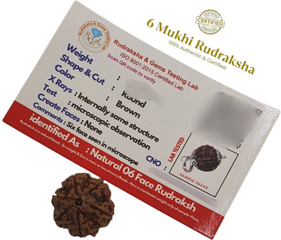 SukhadParivar 6 Mukhi Rudraksha six Faced chhah Nepali Rudraksh Bead Original & Certified Beads Wood Locket Set