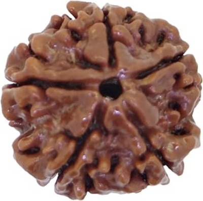 Beautum Original 5 Mukhi Rudraksha Five Face Rudraksha With Metal Capping Wood Pendant