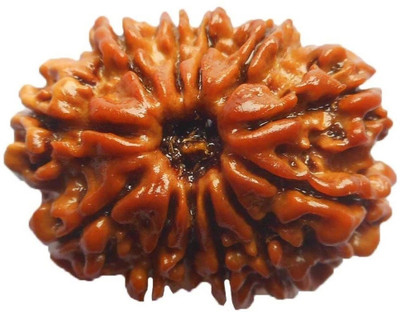 house of common 12 Mukhi Rudraksha Lab Certified Wood Pendant