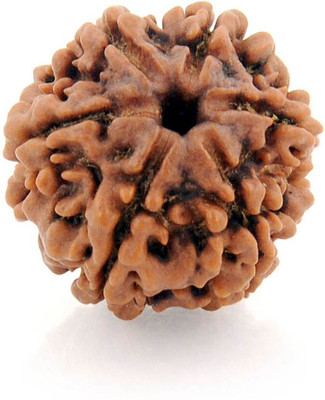 PR CREATION 6 Mukhi Rudraksha Lab Certified Pure Siddha in Handmade Tassel, Nepalese Beads Wood