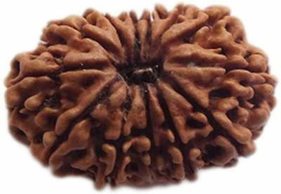 Jewelswonder 12 mukhi natural rudraksha Wood Pendant Set