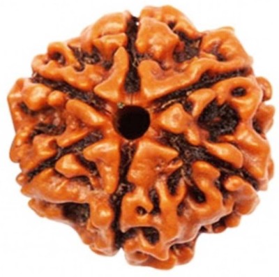 Kripalu store 6 Mukhi Nepali Original Rudraksha With silk Dori Wood Pendant