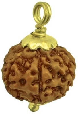 Rudra gems Jewellery Lab Certified Natural 7 Mukhi Rudraksha Bead indonesian 7 Face Rudraksha Gold-plated Beads Brass Locket Set