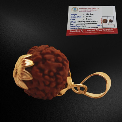 robbanmant 7 Mukhi Rudraksha Nepali Original Brown Beads Seven Face Rudraksha Gold-plated Wood Pendant Set