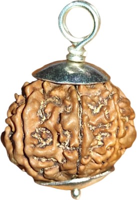 Nepali Rudraksha 7 Mukhi Rudrakash Nepali Bead Original IGL Certified by Nepali Rudraksha Silver Beads Mother of Pearl