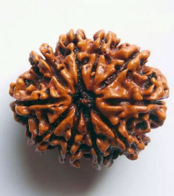 Shivtantra 10 Mukhi Rudraksha / 10 Face Rudraksha Silver Pendant With Lab Certificate 09 Wood Pendant