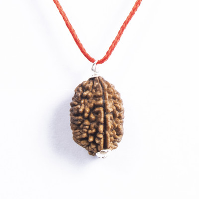 Manyate Natural 2 Mukhi / Mukha Two Face Nepali Energised Lab Certified Rudraksha Silver Wood Pendant