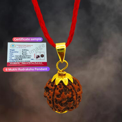 Kripalu store 6 Mukhi Certified Pure Siddha Rudraksha Pendent From Nepal Original Gold-plated Beads Brass, Wood Pendant