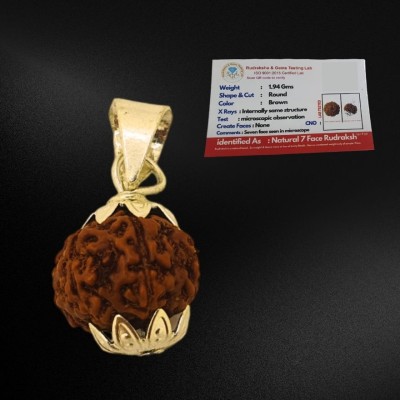 Nirvana Mukhi 7 Mukhi Rudraksha Original Natural Nepali A1 Beads Seven Face Rudraksha Gold-plated Wood Locket