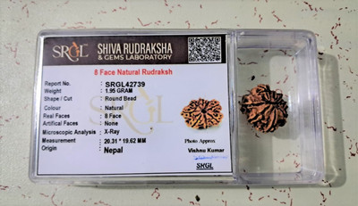 SHIV RUDRAKSHA 8 MUKHI NEPALI RUDRAKSHA Wood Pendant