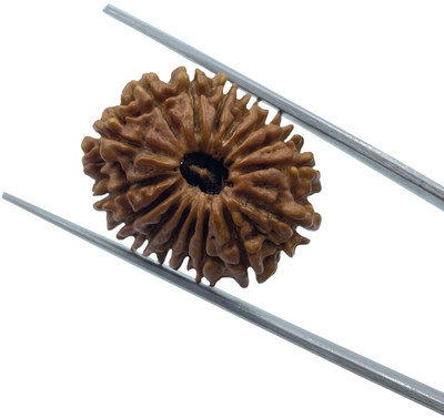 RatanBazar Natural 16 mukhi rudraksha shiv beads with lab certificate Wood Pendant