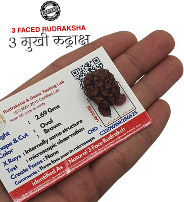 Madhavi Jewellery Lab Certified Natural 3 Mukhi Rudraksha Bead Nepali 3 Face Rudraksha Beads Wood Locket Set
