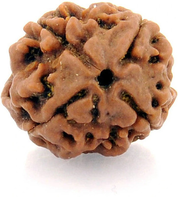 house of common Four Faced / 4 Mukhi Nepali Rudraksha Beads Wood Pendant