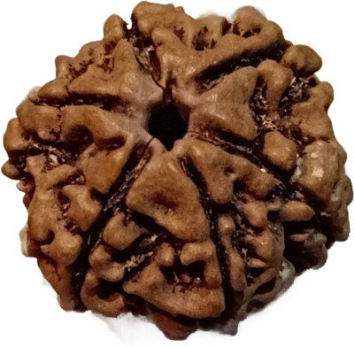 shivazstha Shiv Aastha 6 Mukhi Natural Brown Nepali Rudraksha Pendant Mala Beads Wood Pendant