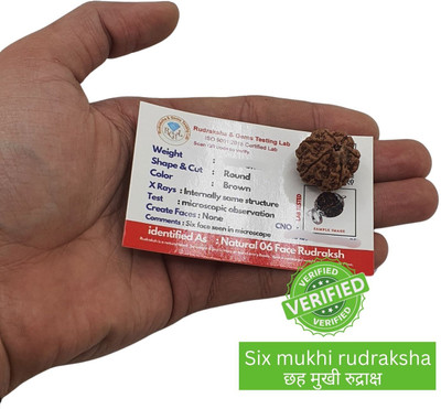 Madhur Creation 6 Faced Mukhi Rudraksha/ six-Faced Orignal Pendant For Unisex Beads Wood Locket