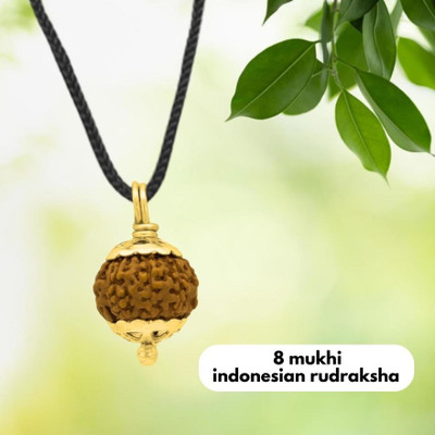Kuttumb Gems & Jewels 8 Mukhi rudraksha / 8 Face Rudraksha indonesian Gold-plated Brass Pendant