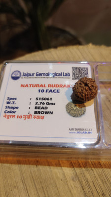 Shivtantra Pure Natural Brown 10 Mukhi Nepali Rudraksha Pendant Beads Wood Pendant