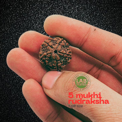 Lazy Collection Original 5 Mukhi/Faced Rudraksha Five-Faced Orignal Pendant For Unisex Beads Wood Locket Set