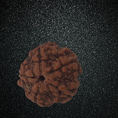 FLY PL STORE Nepali 5 Mukhi Rudraksha Original Natural Siddha Five Face Rudraksha Beads Wood Locket Set