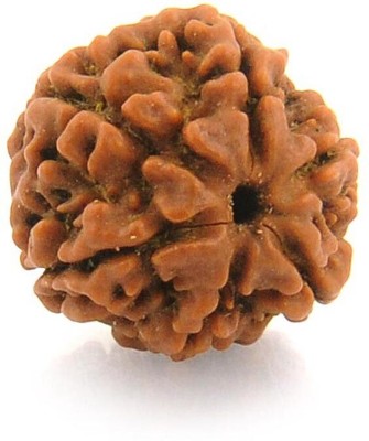 JangraBro Certified Natural Six Mukhi (6 face) Rudraksha With Lab Tested Certificate Wood Pendant