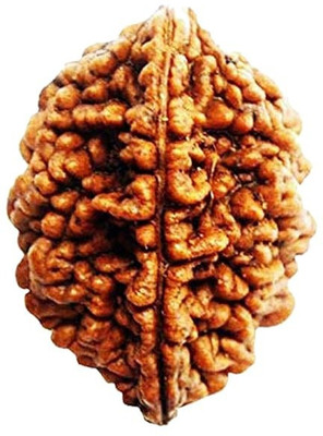 DARIDRA BHANJAN original 2 Mukhi Rudraksha Two Face Rudraksha Nepali Rudraksha (do mukhi) Wood Pendant
