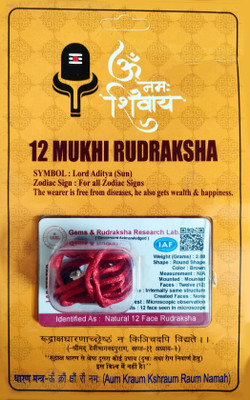 robin collection 12 Mukhi Nepali Rudraksha Twelve Faced Rudraksha with Certificate Lab Test Sterling Silver Beads Wood