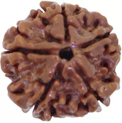 PR CREATION Five Mukhi Rudraksha Original Certified Panch Mukhi Rudrachh Fine & Premium Wood