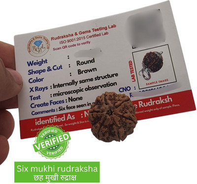 Hindustan Jewellery 6/ six Mukhi white metal Certified Original Pure Siddha Rudraksha from Nepal Beads Wood Locket