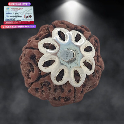 BHAKTI Kripalu Store six 6 MUKHI RUDRAKSHA (CERTIFIED AND NEPAL ORIGIN) Silver Beads Brass, Wood Locket