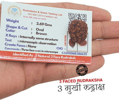 BHAKTI CHIMES Premium three Mukhi Rudraksha / Original Nepali 3 faced / 3 Mukhi Rudraksha Beads Wood Locket