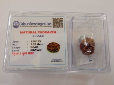 Divine Rudra and Astro Vastu 3 Mukhi Rudraksha Wood Pendant