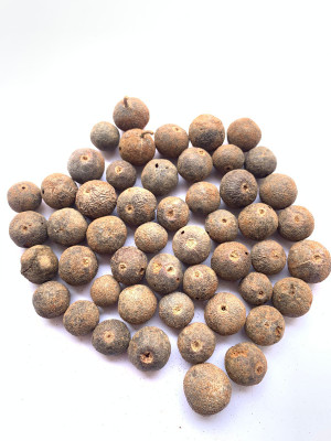 Rudraksham Rudraksha Nepali Scared Fruit (Set of 50) Wood Pendant Set
