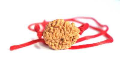 ng gems Nepali 2 Mukhi Rudraksha With Red Dori 01 Wood Pendant Set
