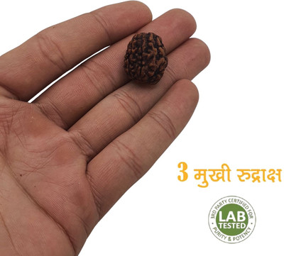 Astro Shop Imitation 3 Faced Mukhi Rudraksha/ three-Faced Orignal Pendant For Unisex Wood Locket