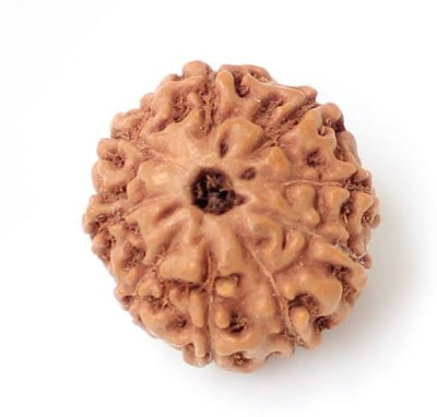 Rudraksham 9 mukhi rudraksha Original Certified Indonesian 9 mukhi rudraksha Wood Pendant