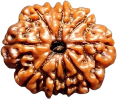 Shivtantra 9 Mukhi Rudraksha / 9 Face Rudraksha Silver Pendant With Lab Certificate 04 Wood Pendant