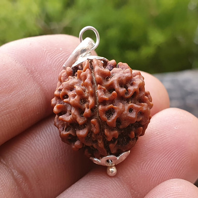 Fine Creation Premium Five Mukhi Rudraksha / Original Nepali 5 faced / 5 Mukhi Rudraksha Silver Wood Pendant