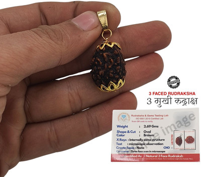 LOTUS Store 3 Mukhi Rudraksha Certified Nepali pendant | Original three Face teenmukhi Gold-plated Brass Locket