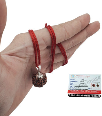 Plus Treasure five Mukhi Rudraksha Certified/Original Nepali 5 Mukhi Rudraksh/Natural 5 Faced Silver Beads Brass, Wood Locket