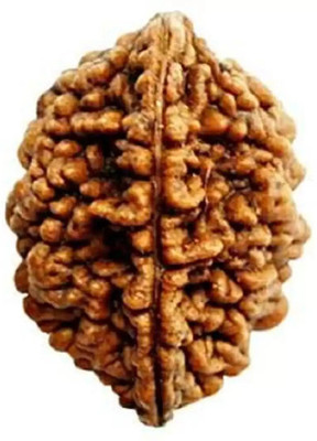 DIVINE SOUVENIRS Certified/Original Two Mukhi Rudraksha/Natural 2-faced For Men & Women Wood Pendant
