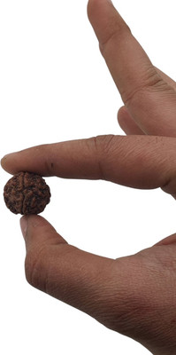 Kuttumb Gems & Jewels 5 Face Rudraksha Pendant Original & Certified For Men & Women 5 Mukhi Rudraksha Beads Wood Pendant Set