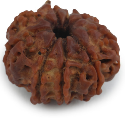 STUDIO VAIDIK 8 mukhi Natural Rudraksha Beads Wood Pendant
