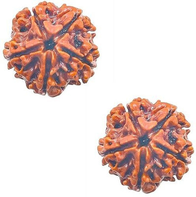Shivtantra GEMS FIVE MUKHI FIVE FACE PANCH MUKHI NEPALI RUDRAKSHA(Brown,Pack of 2) Wood