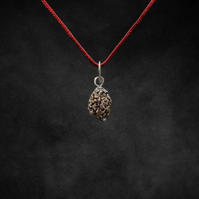 JANTRAM 3 Mukhi Nepali Rudraksha – Teen Mukhi Crystal