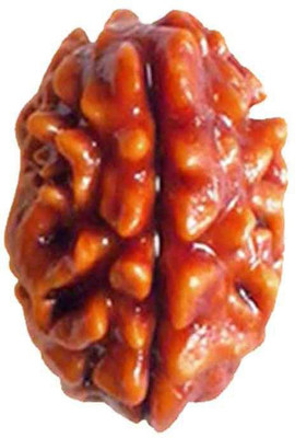 DvR ClicK The 2 Mukhi Rudraksha Made With Indian Bead Brass Pendant